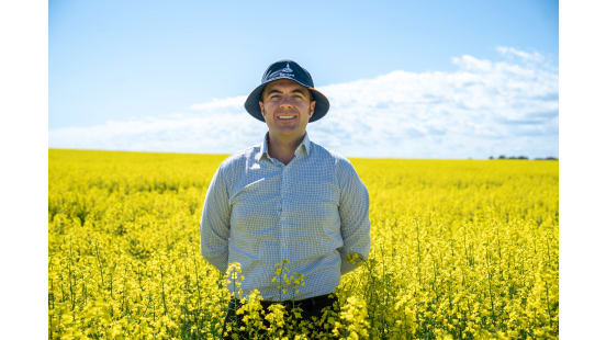 Vitor Pistoia, Rabobank's oilseed research specialist, inspects an Australian canola crop.