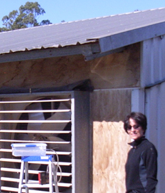 Collection of exhaust air from a poultry farm by Dr Simin Maleknia, for analysis of VOCs by proton transfer reaction – time of flight mass spectrometry (PTR-ToFMS). Image from reference 24)