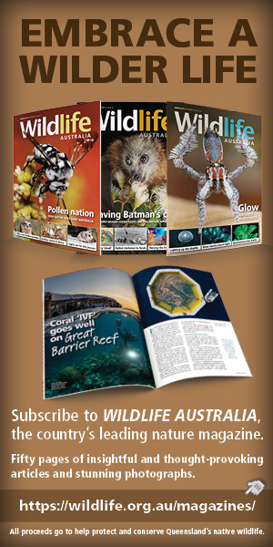 Subscribe to Wildlife Australia magazine https://wildlife-australia.org.au/subscribe