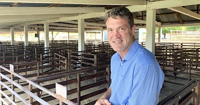Australian livestock markets becoming increasingly volatile – Rabobank report
